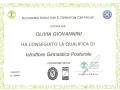 diploma posturale