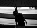 _MG_0665