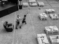 MPZ_6301