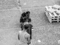 MPZ_6308