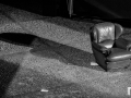 MPZ_6705