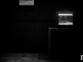 MPZ_5272