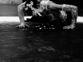 bodycaking_belladonna Ge 2016 Pezzati 011