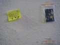10683646_10207814900279840_2198503626377067810_o_10207814900279840