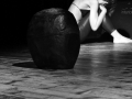 INTERIORA_altre studio019