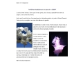 blog Calipso