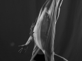 Sessione studio 09.02-910